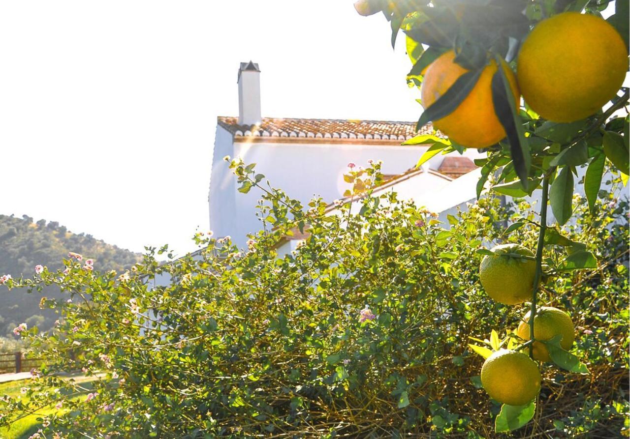 Cortijo Las Caballerias Alora Exterior photo