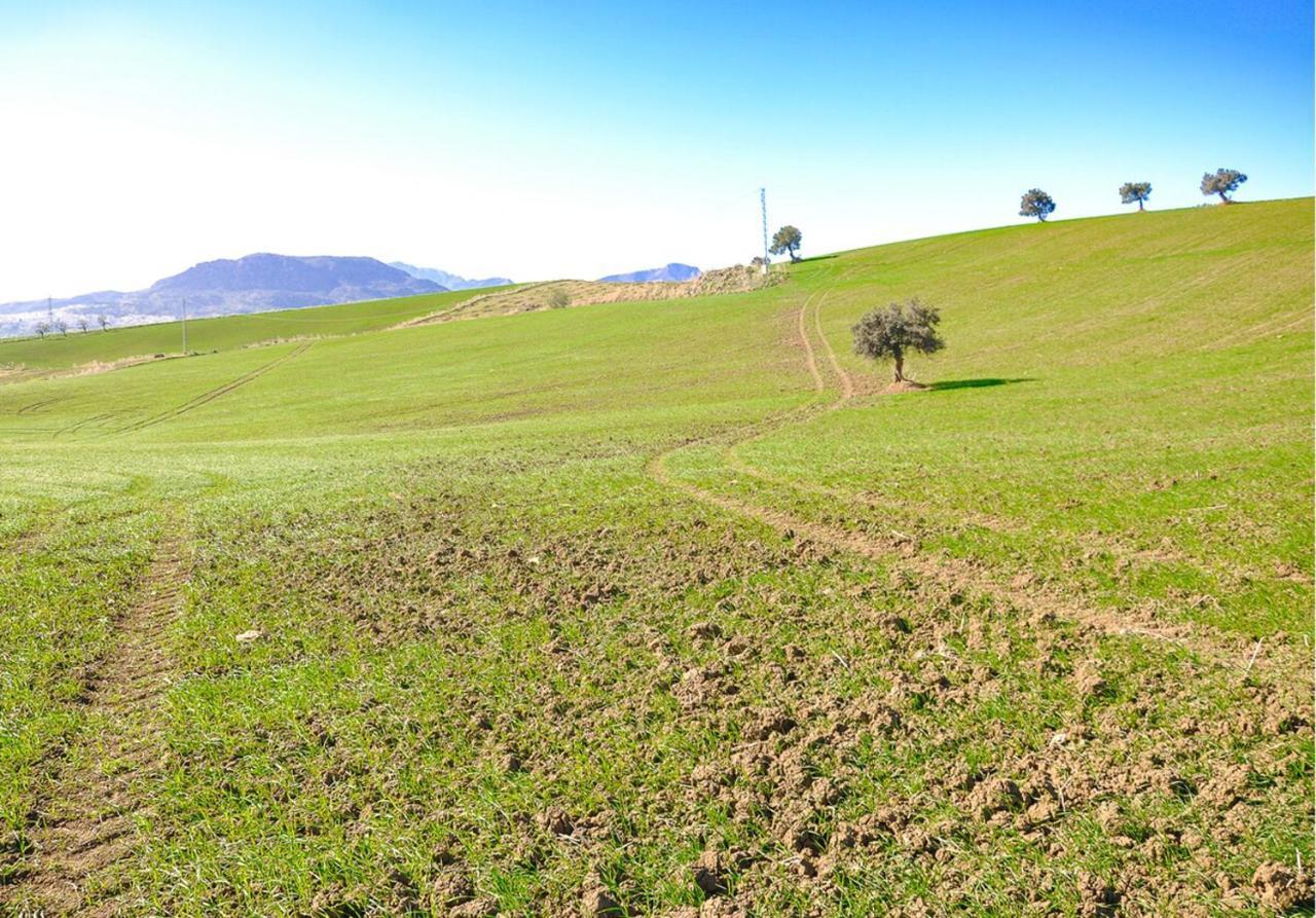 Cortijo Las Caballerias Alora Exterior photo